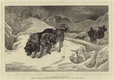 En una misión de misericordia de Basil Bradley